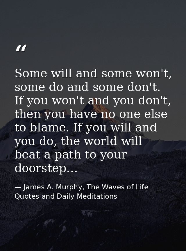 Some will and some won't, some do and some don't. If you won't and you don't, then you have no one else to blame. If you — James A. Murphy, The Waves of Life Quotes and Daily Meditations