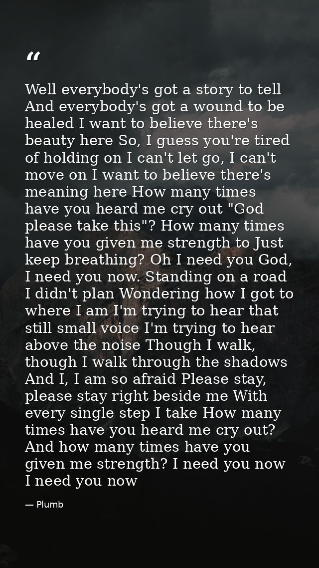 Well everybody's got a story to tell And everybody's got a wound to be healed I want to believe there's beauty here So,  — Plumb