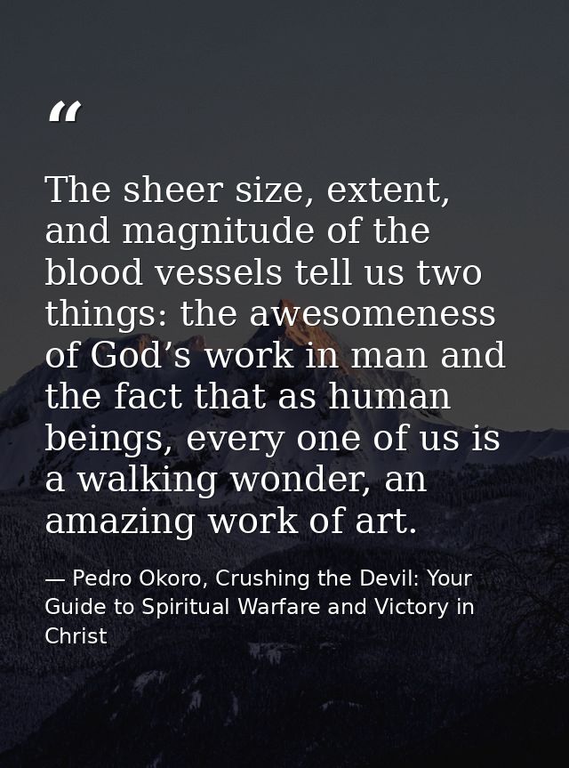 The sheer size, extent, and magnitude of the blood vessels tell us two things: the awesomeness of God’s work in man and  — Pedro Okoro, Crushing the Devil: Your Guide to Spiritual Warfare and Victory in Christ