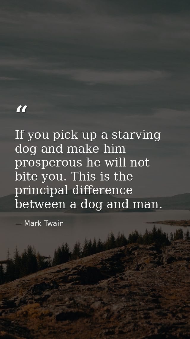 If you pick up a starving dog and make him prosperous he will not bite you. This is the principal difference between a d — Mark Twain