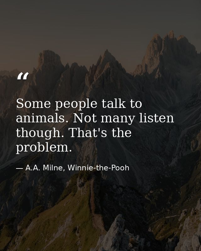 Some people talk to animals. Not many listen though. That's the problem. — A.A. Milne, Winnie-the-Pooh