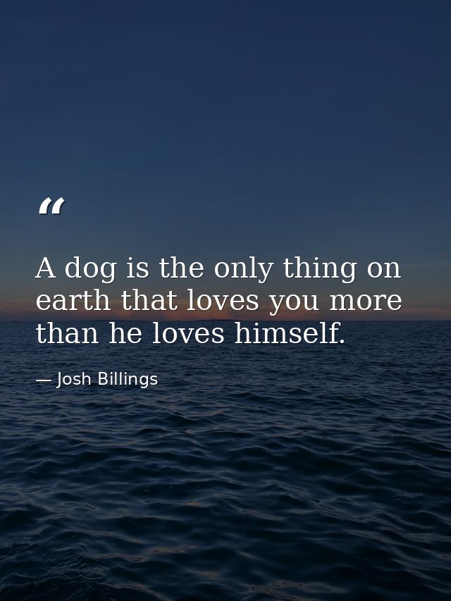 A dog is the only thing on earth that loves you more than he loves himself. — Josh Billings
