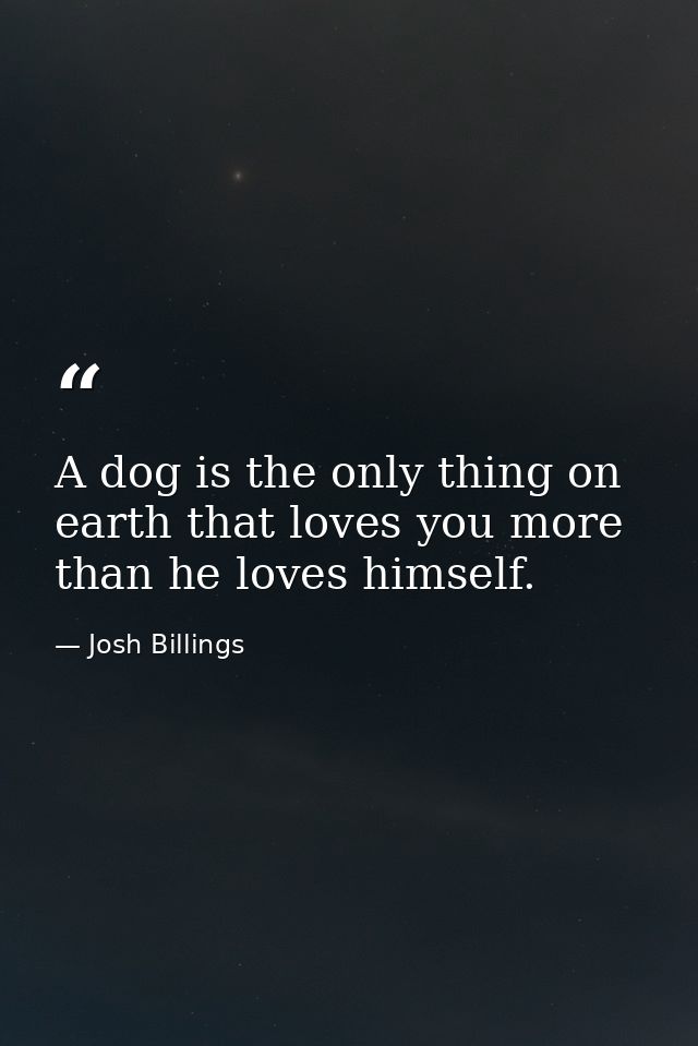 A dog is the only thing on earth that loves you more than he loves himself. — Josh Billings