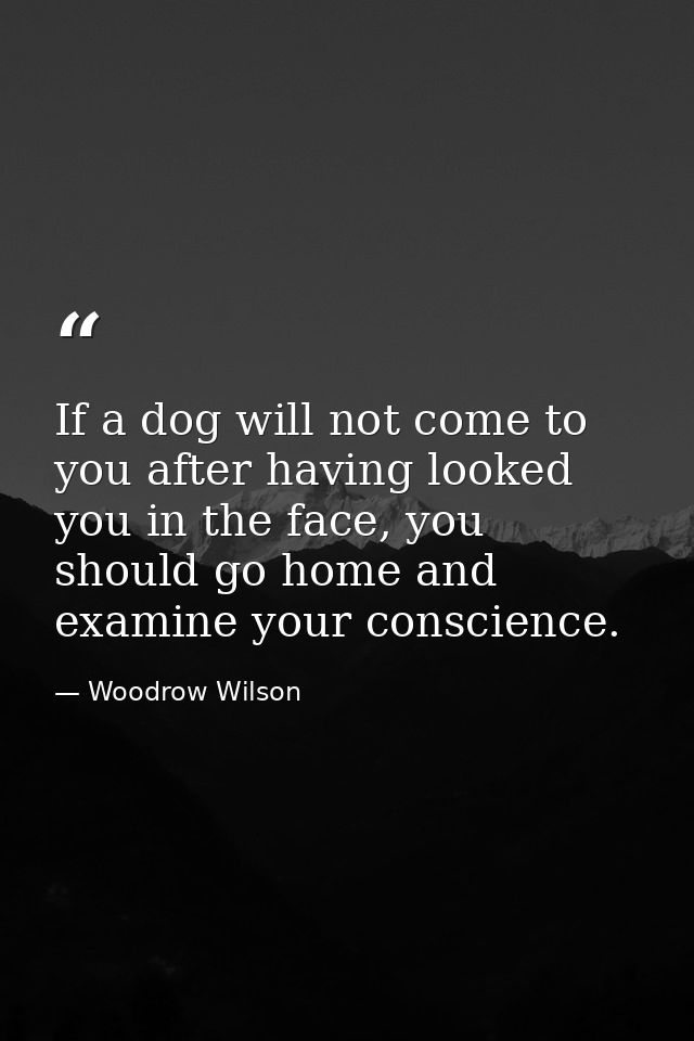 If a dog will not come to you after having looked you in the face, you should go home and examine your conscience. — Woodrow Wilson