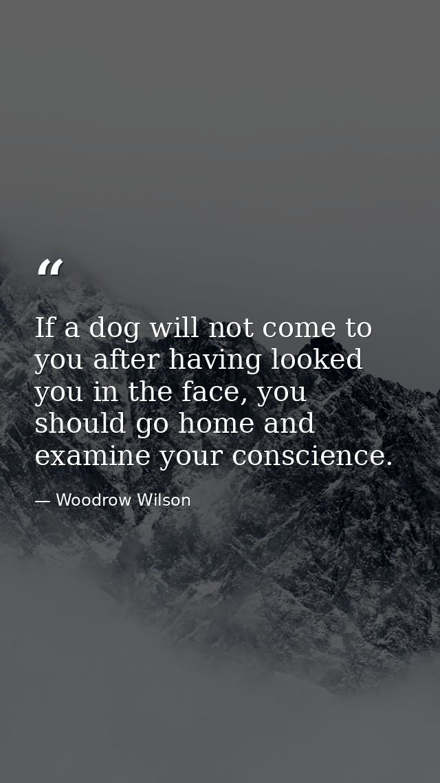If a dog will not come to you after having looked you in the face, you should go home and examine your conscience. — Woodrow Wilson