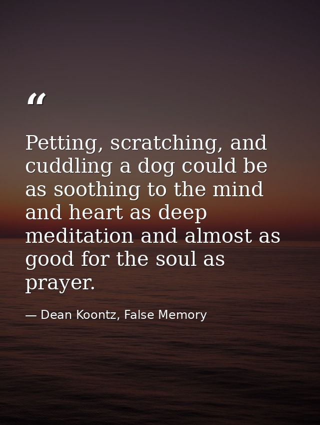 Petting, scratching, and cuddling a dog could be as soothing to the mind and heart as deep meditation and almost as good — Dean Koontz, False Memory