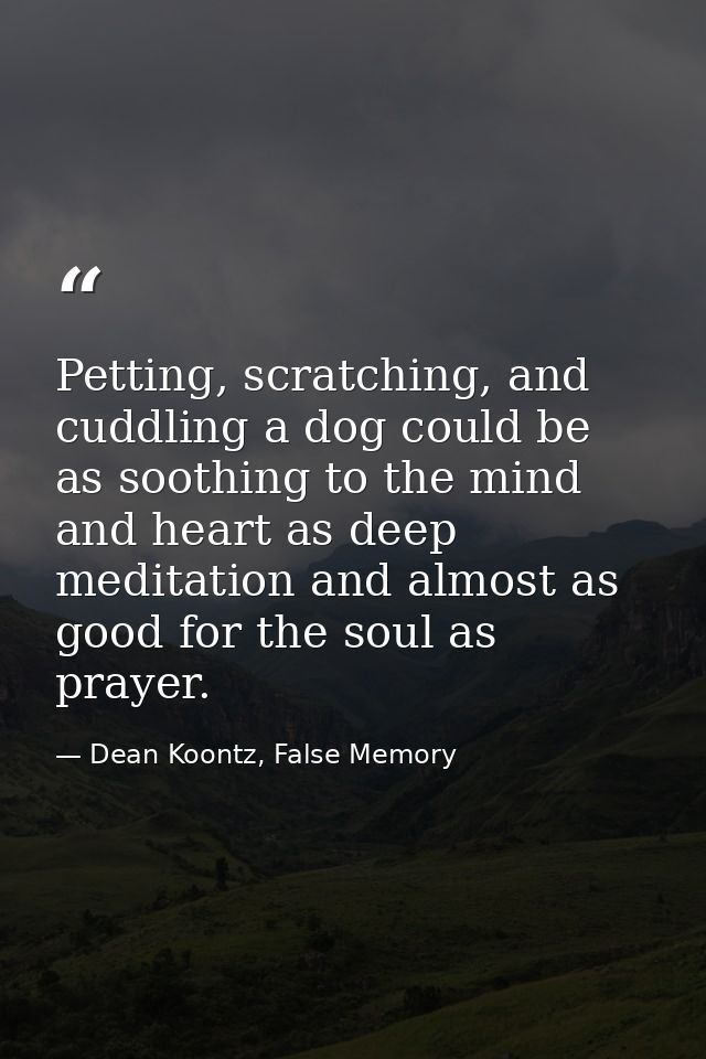 Petting, scratching, and cuddling a dog could be as soothing to the mind and heart as deep meditation and almost as good — Dean Koontz, False Memory