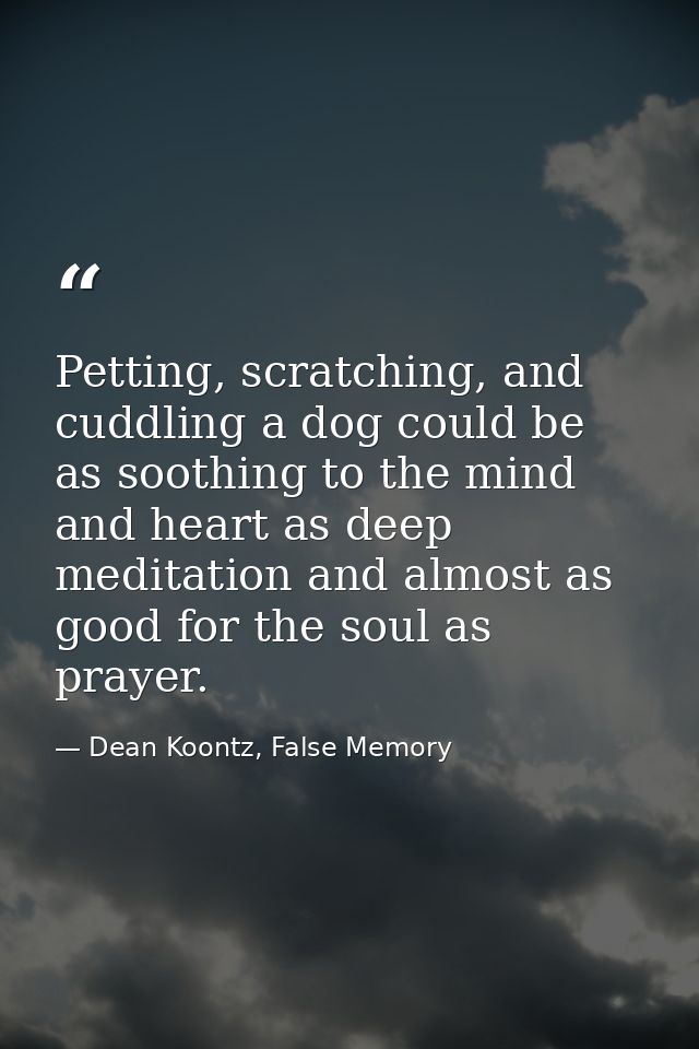Petting, scratching, and cuddling a dog could be as soothing to the mind and heart as deep meditation and almost as good — Dean Koontz, False Memory