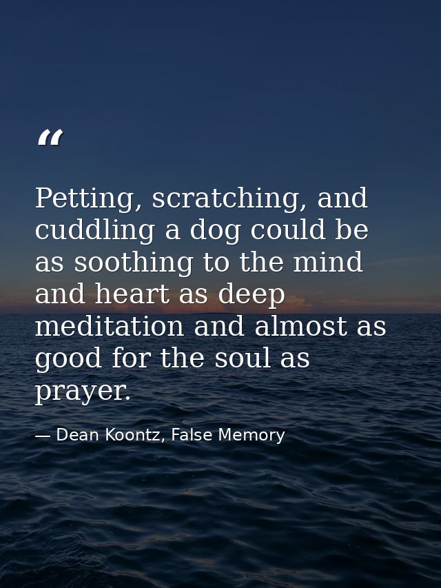 Petting, scratching, and cuddling a dog could be as soothing to the mind and heart as deep meditation and almost as good — Dean Koontz, False Memory