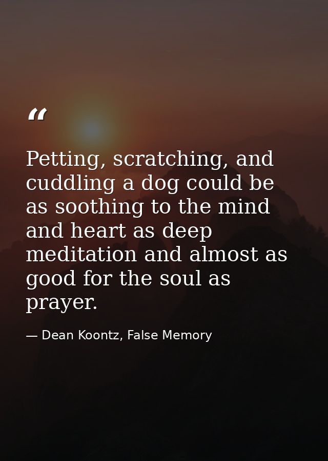 Petting, scratching, and cuddling a dog could be as soothing to the mind and heart as deep meditation and almost as good — Dean Koontz, False Memory