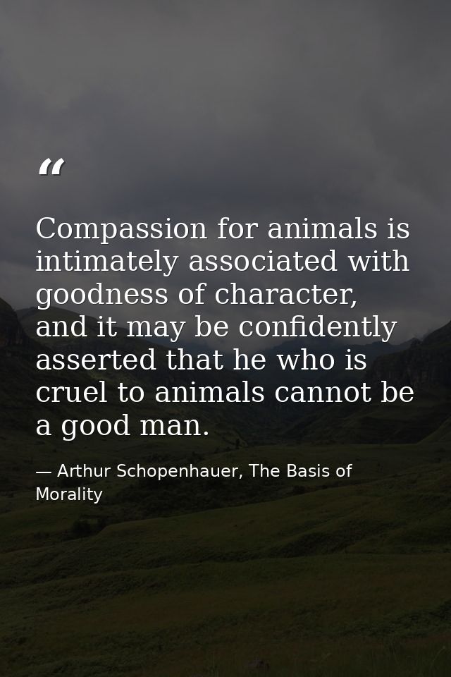 Compassion for animals is intimately associated with goodness of character, and it may be confidently asserted that he w — Arthur Schopenhauer, The Basis of Morality