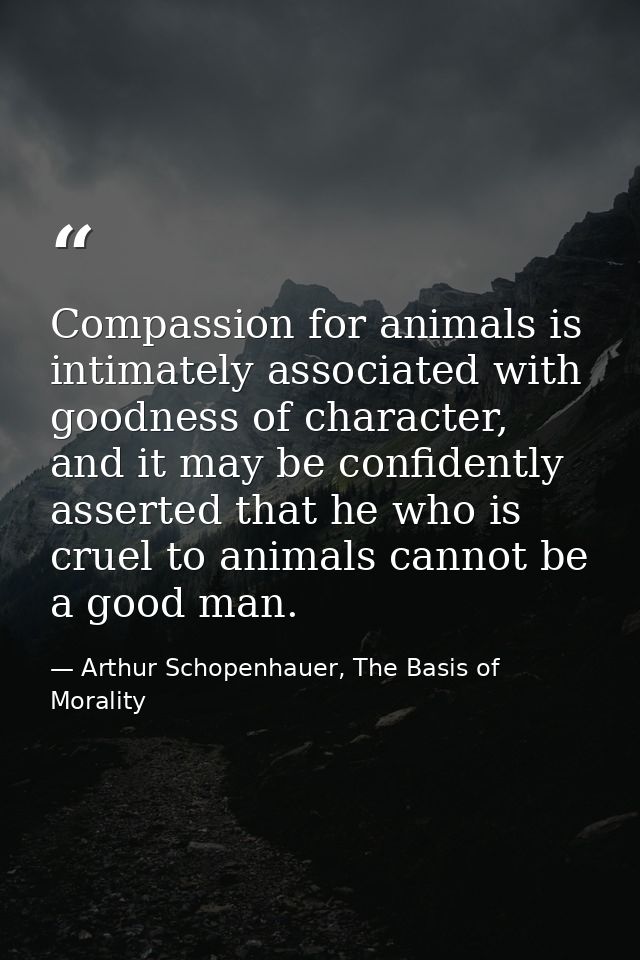 Compassion for animals is intimately associated with goodness of character, and it may be confidently asserted that he w — Arthur Schopenhauer, The Basis of Morality