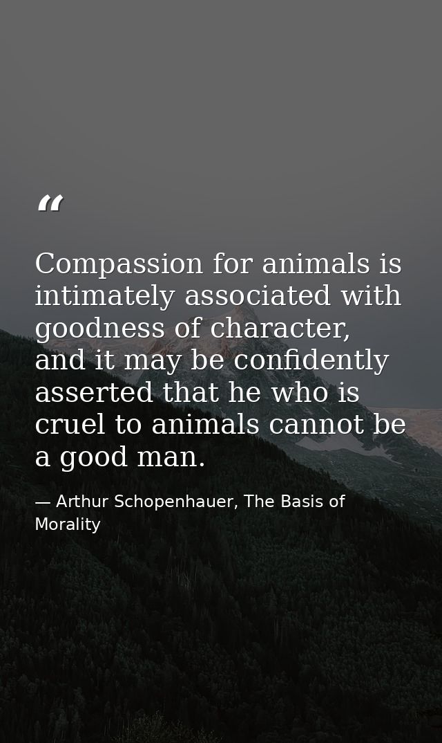Compassion for animals is intimately associated with goodness of character, and it may be confidently asserted that he w — Arthur Schopenhauer, The Basis of Morality