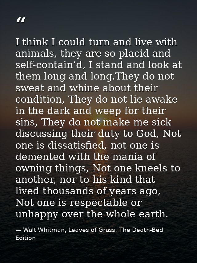 I think I could turn and live with animals, they are so placid and self-contain’d, I stand and look at them long and lon — Walt Whitman, Leaves of Grass: The Death-Bed Edition