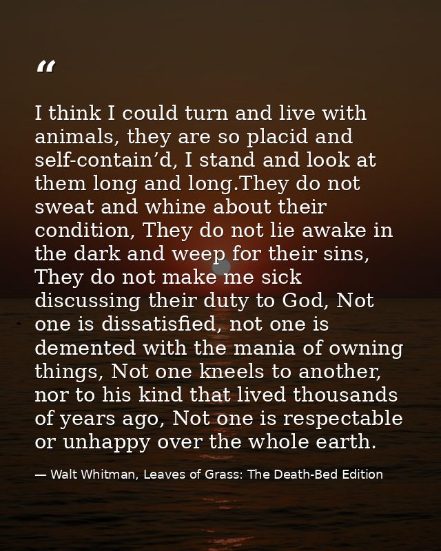 I think I could turn and live with animals, they are so placid and self-contain’d, I stand and look at them long and lon — Walt Whitman, Leaves of Grass: The Death-Bed Edition