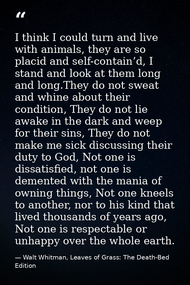 I think I could turn and live with animals, they are so placid and self-contain’d, I stand and look at them long and lon — Walt Whitman, Leaves of Grass: The Death-Bed Edition