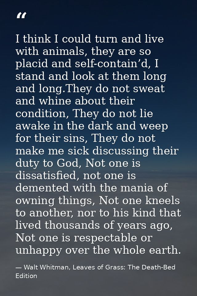 I think I could turn and live with animals, they are so placid and self-contain’d, I stand and look at them long and lon — Walt Whitman, Leaves of Grass: The Death-Bed Edition