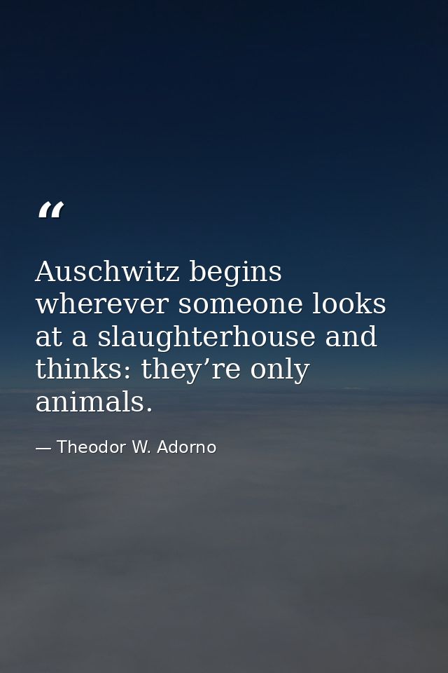 Auschwitz begins wherever someone looks at a slaughterhouse and thinks: they’re only animals. — Theodor W. Adorno