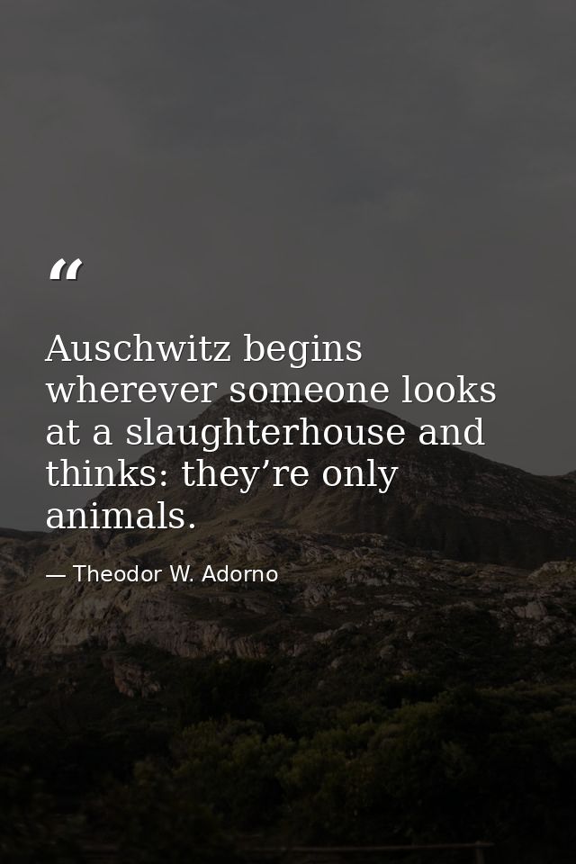 Auschwitz begins wherever someone looks at a slaughterhouse and thinks: they’re only animals. — Theodor W. Adorno