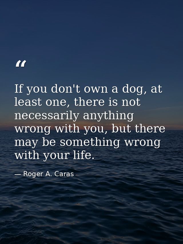 If you don't own a dog, at least one, there is not necessarily anything wrong with you, but there may be something wrong — Roger A. Caras