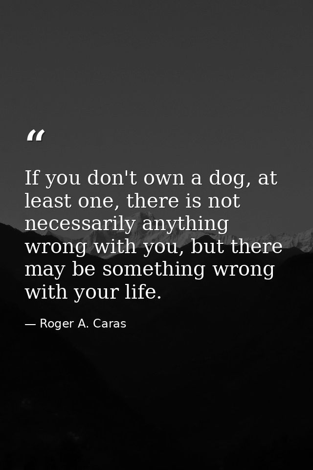 If you don't own a dog, at least one, there is not necessarily anything wrong with you, but there may be something wrong — Roger A. Caras