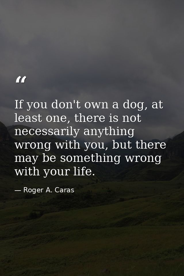 If you don't own a dog, at least one, there is not necessarily anything wrong with you, but there may be something wrong — Roger A. Caras