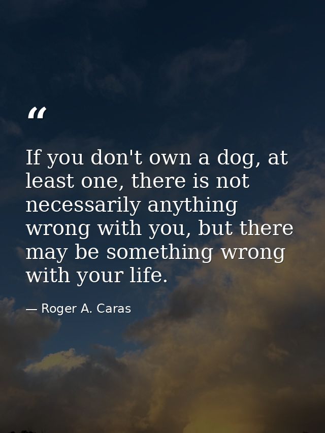 If you don't own a dog, at least one, there is not necessarily anything wrong with you, but there may be something wrong — Roger A. Caras