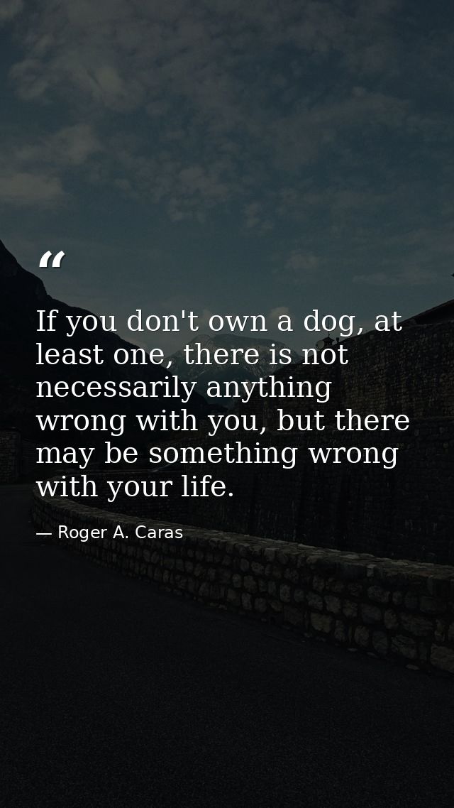 If you don't own a dog, at least one, there is not necessarily anything wrong with you, but there may be something wrong — Roger A. Caras