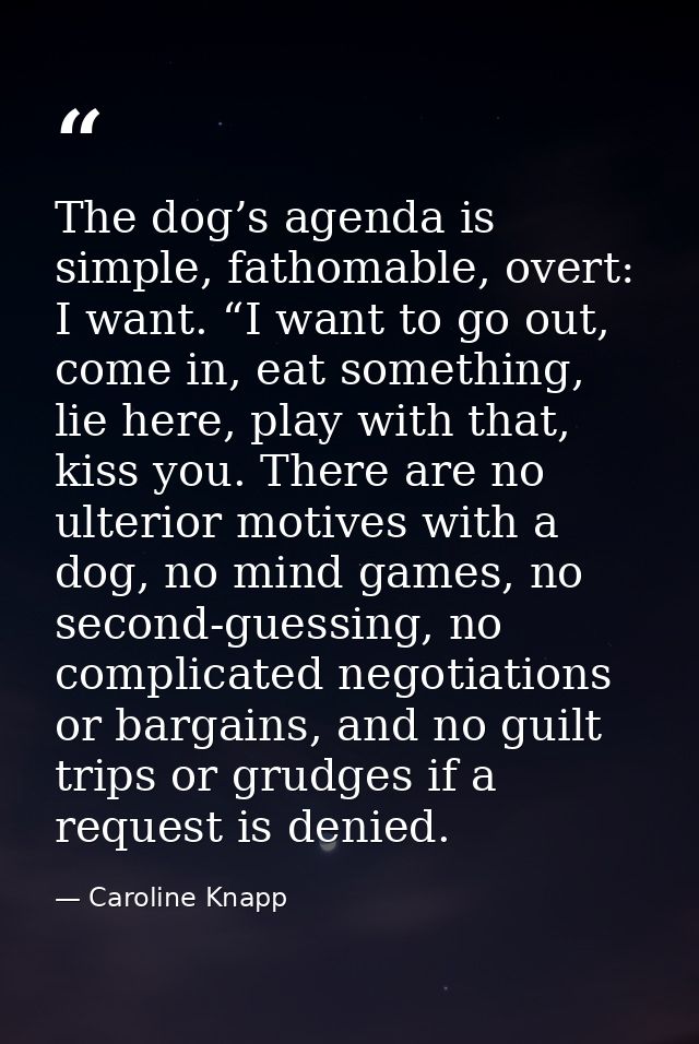 The dog’s agenda is simple, fathomable, overt: I want. “I want to go out, come in, eat something, lie here, play with th — Caroline Knapp