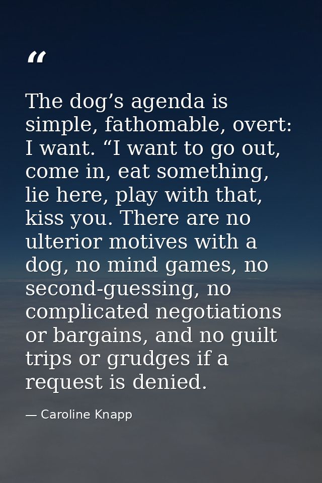 The dog’s agenda is simple, fathomable, overt: I want. “I want to go out, come in, eat something, lie here, play with th — Caroline Knapp