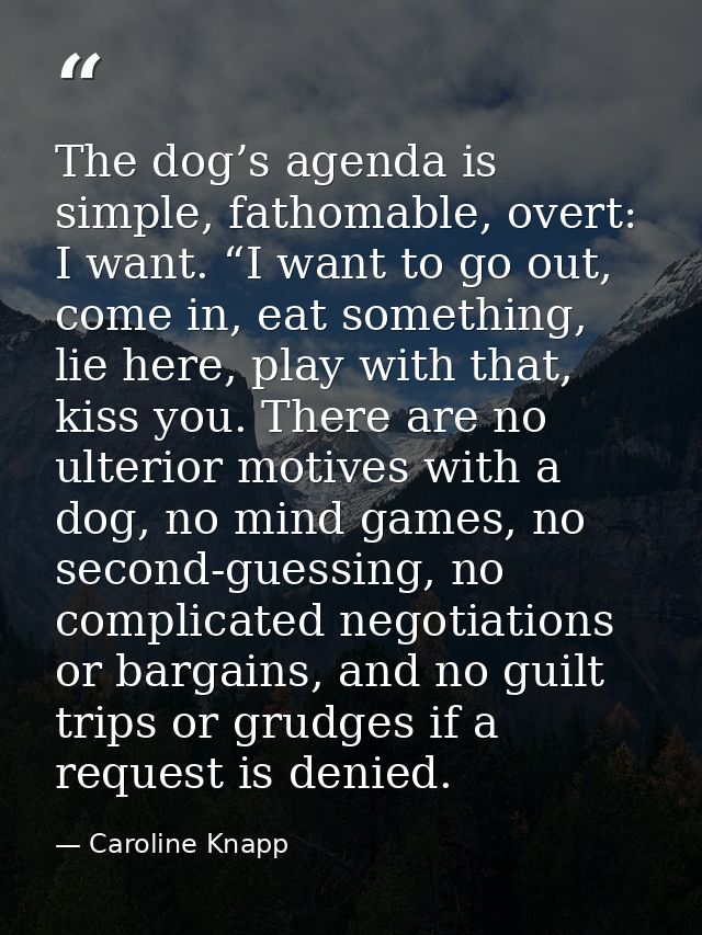 The dog’s agenda is simple, fathomable, overt: I want. “I want to go out, come in, eat something, lie here, play with th — Caroline Knapp