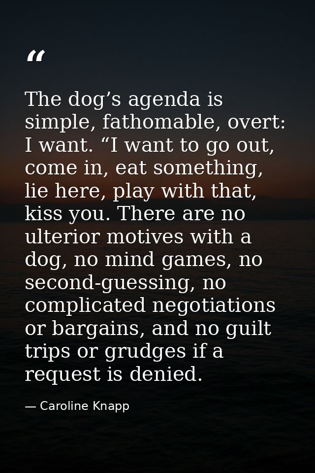 The dog’s agenda is simple, fathomable, overt: I want. “I want to go out, come in, eat something, lie here, play with th — Caroline Knapp