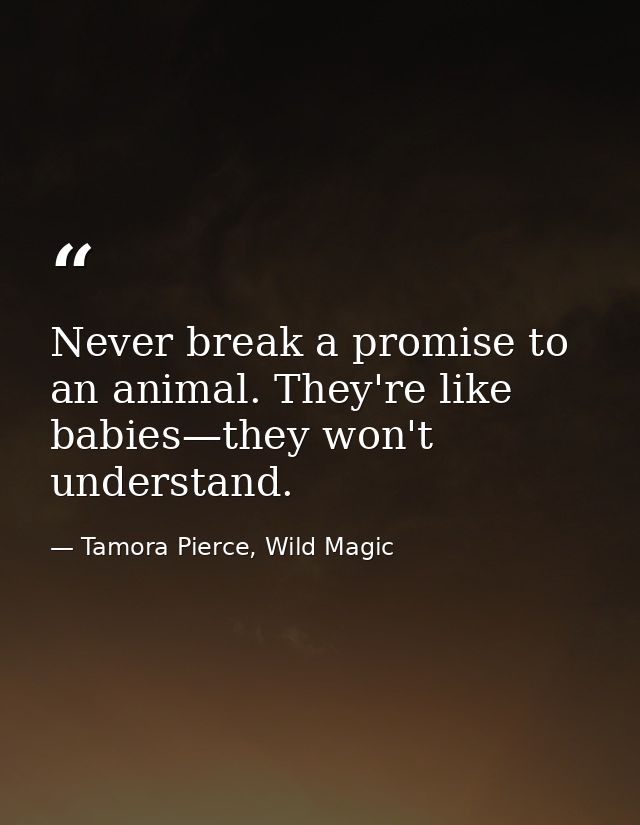 Never break a promise to an animal. They're like babies—they won't understand. — Tamora Pierce, Wild Magic