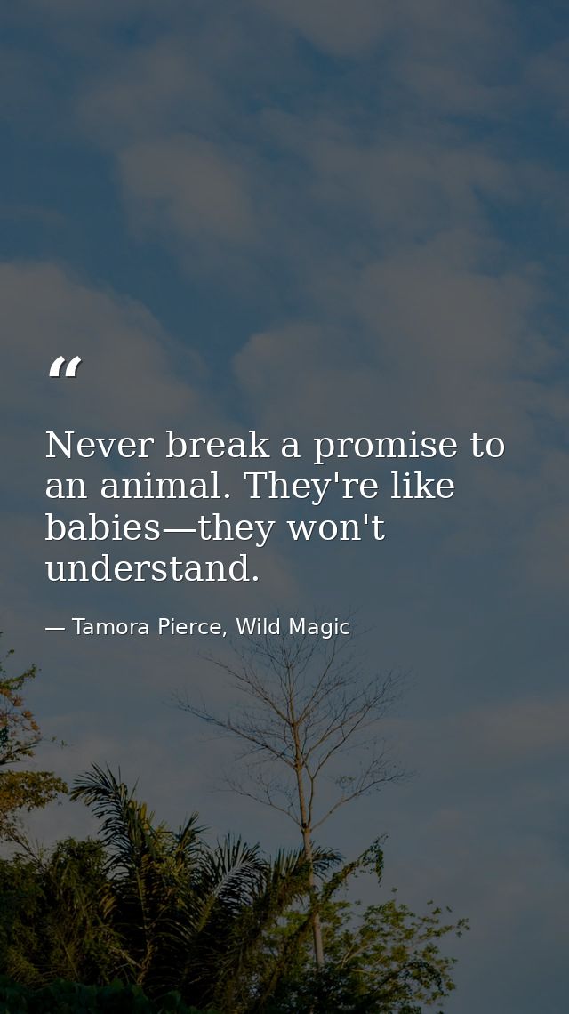Never break a promise to an animal. They're like babies—they won't understand. — Tamora Pierce, Wild Magic