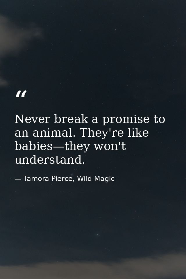 Never break a promise to an animal. They're like babies—they won't understand. — Tamora Pierce, Wild Magic