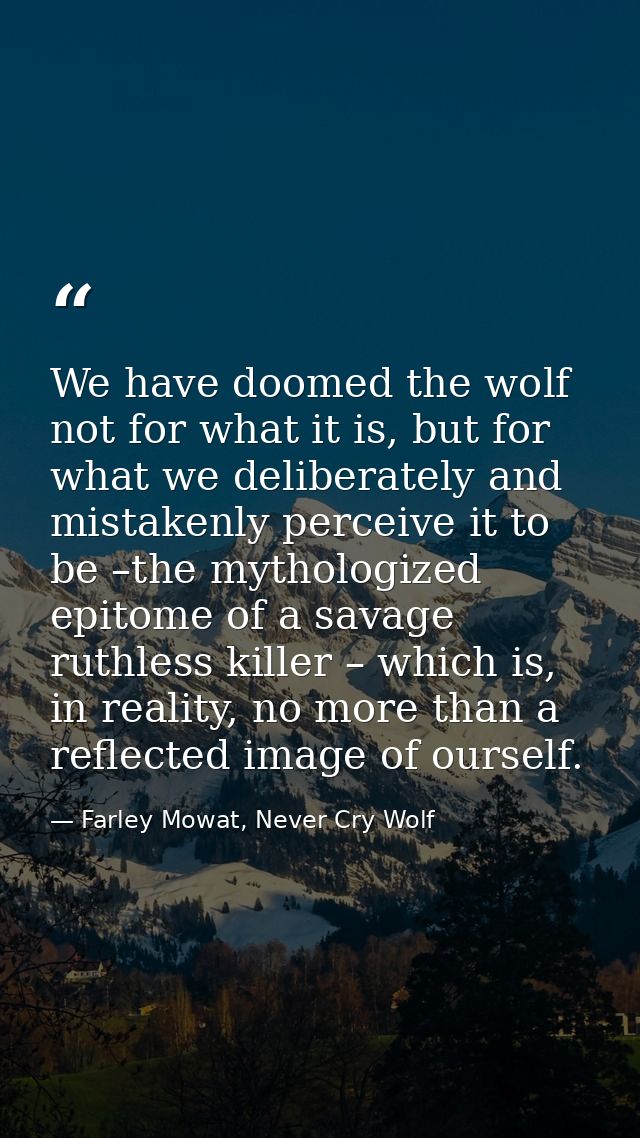 We have doomed the wolf not for what it is, but for what we deliberately and mistakenly perceive it to be –the mythologi — Farley Mowat, Never Cry Wolf