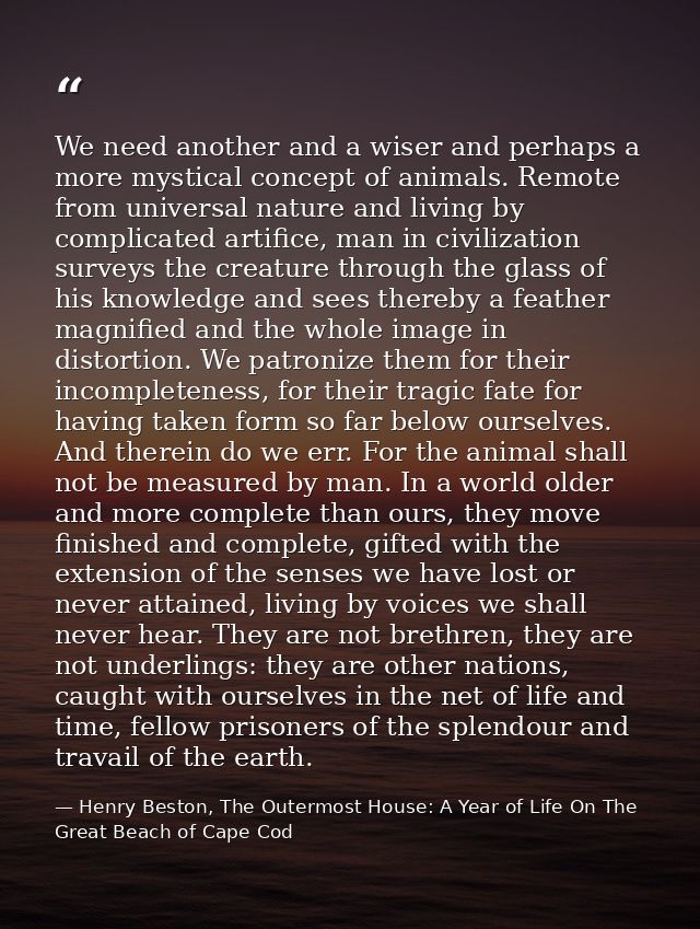 We need another and a wiser and perhaps a more mystical concept of animals. Remote from universal nature and living by c — Henry Beston, The Outermost House: A Year of Life On The Great Beach of Cape Cod