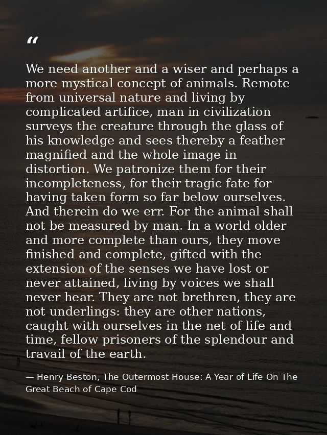 We need another and a wiser and perhaps a more mystical concept of animals. Remote from universal nature and living by c — Henry Beston, The Outermost House: A Year of Life On The Great Beach of Cape Cod