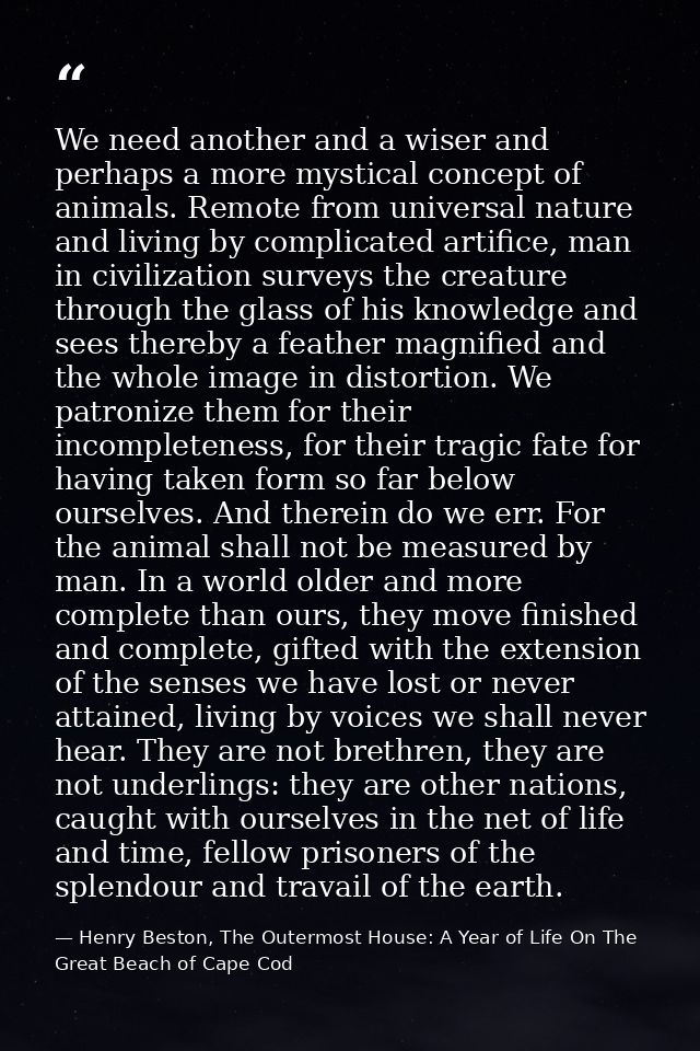 We need another and a wiser and perhaps a more mystical concept of animals. Remote from universal nature and living by c — Henry Beston, The Outermost House: A Year of Life On The Great Beach of Cape Cod