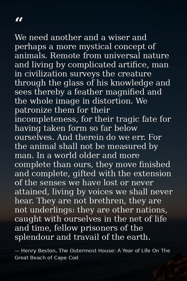 We need another and a wiser and perhaps a more mystical concept of animals. Remote from universal nature and living by c — Henry Beston, The Outermost House: A Year of Life On The Great Beach of Cape Cod