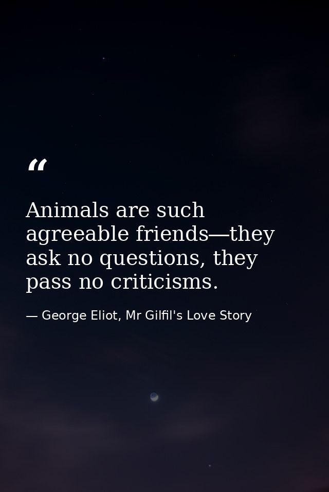 Animals are such agreeable friends―they ask no questions, they pass no criticisms. — George Eliot, Mr Gilfil's Love Story