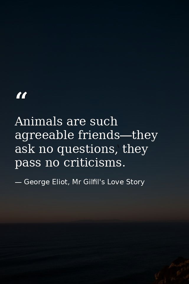 Animals are such agreeable friends―they ask no questions, they pass no criticisms. — George Eliot, Mr Gilfil's Love Story