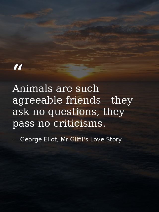 Animals are such agreeable friends―they ask no questions, they pass no criticisms. — George Eliot, Mr Gilfil's Love Story