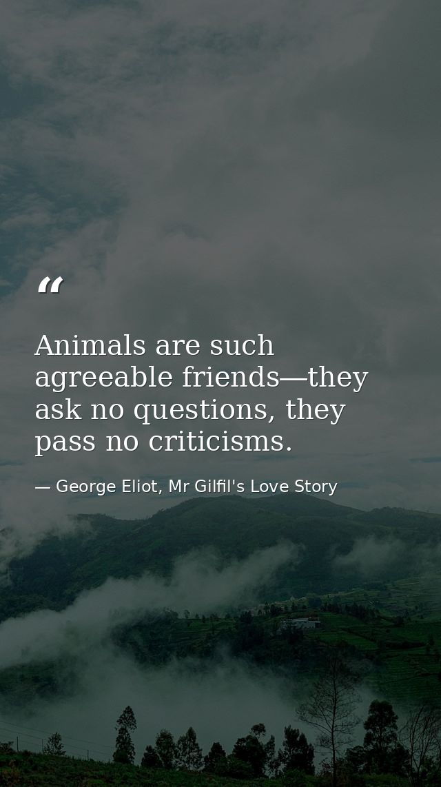 Animals are such agreeable friends―they ask no questions, they pass no criticisms. — George Eliot, Mr Gilfil's Love Story