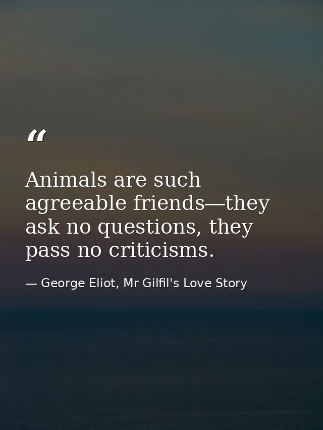 Animals are such agreeable friends―they ask no questions, they pass no criticisms. — George Eliot, Mr Gilfil's Love Story