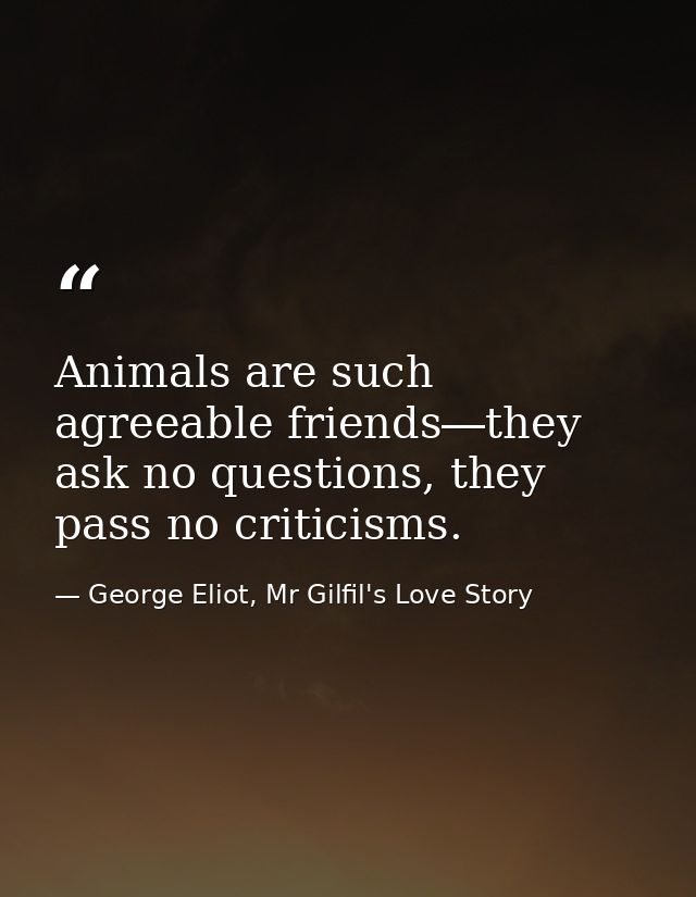 Animals are such agreeable friends―they ask no questions, they pass no criticisms. — George Eliot, Mr Gilfil's Love Story