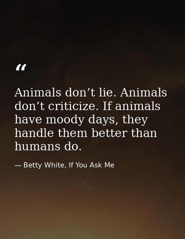 Animals don’t lie. Animals don’t criticize. If animals have moody days, they handle them better than humans do. — Betty White, If You Ask Me