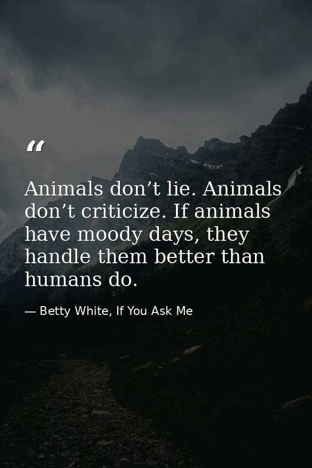 Animals don’t lie. Animals don’t criticize. If animals have moody days, they handle them better than humans do. — Betty White, If You Ask Me