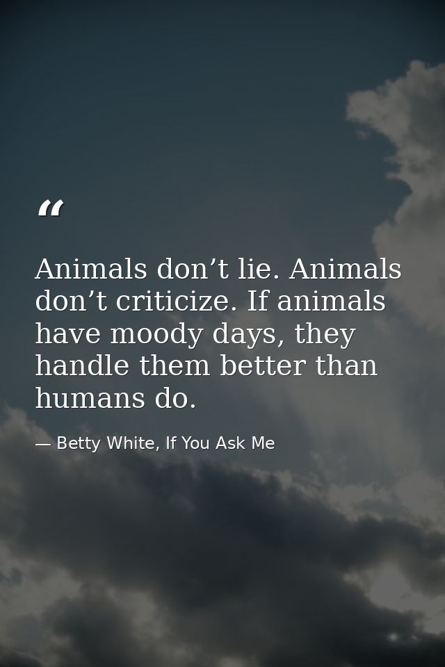 Animals don’t lie. Animals don’t criticize. If animals have moody days, they handle them better than humans do. — Betty White, If You Ask Me