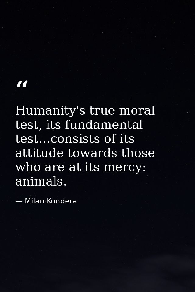 Humanity's true moral test, its fundamental test…consists of its attitude towards those who are at its mercy: animals. — Milan Kundera